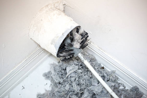 Best Professional Duct Cleaning Services  in Hernando, MS